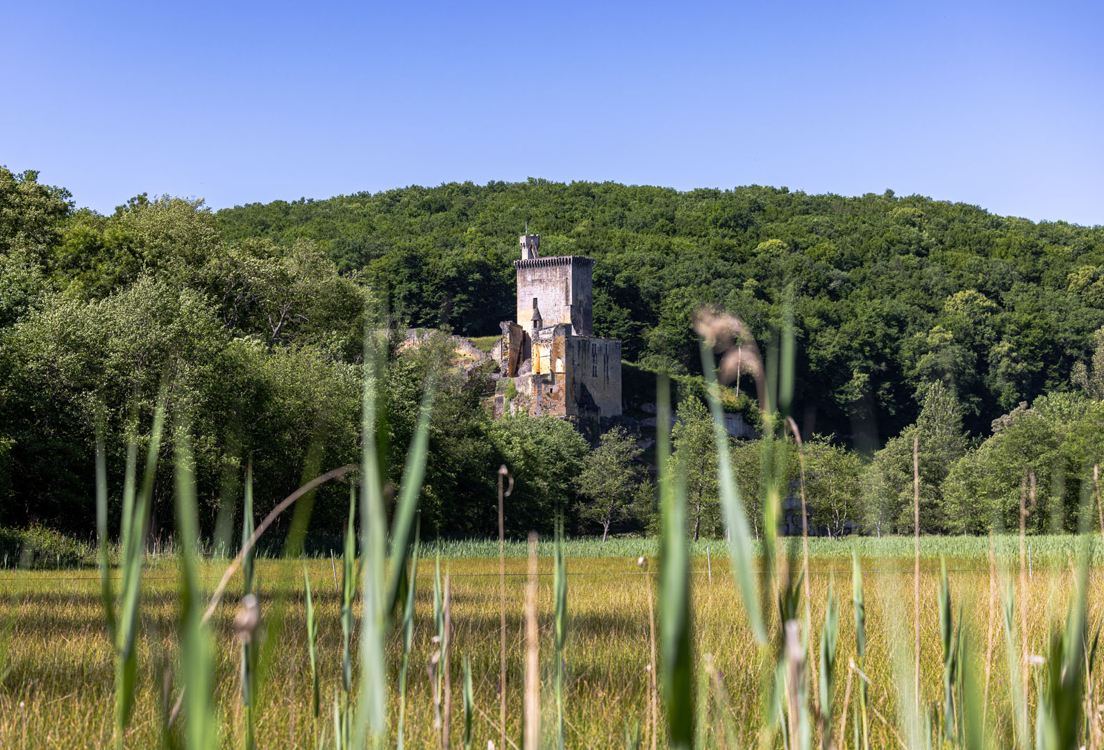 Château de Commarque 29 mai 2022