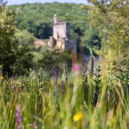 Château de Commarque 29 mai 2022