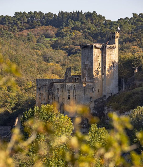 Visite incontournable Château Périgord FS6A5803 Château de Commarque @Déclic&Décolle