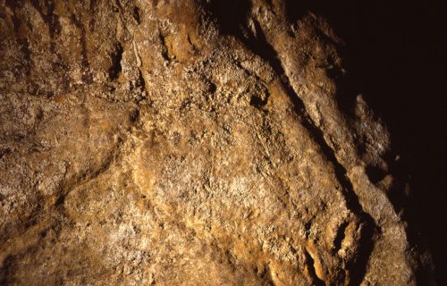 visite grotte préhistorique commarque cheval sculpté